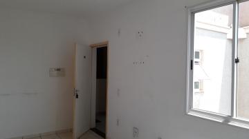 Alugar Apartamentos / Padrão em Sertãozinho R$ 750,00 - Foto 10 Alugar Apartamentos / Padrão em Sertãozinho R$ 750,00 - Foto 10