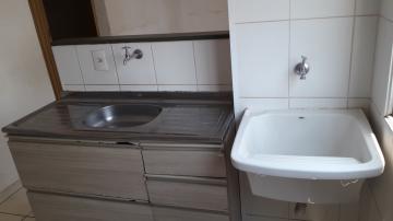 Alugar Apartamentos / Padrão em Sertãozinho R$ 750,00 - Foto 13 Alugar Apartamentos / Padrão em Sertãozinho R$ 750,00 - Foto 13