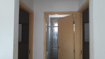 Alugar Apartamentos / Padrão em Sertãozinho R$ 750,00 - Foto 15 Alugar Apartamentos / Padrão em Sertãozinho R$ 750,00 - Foto 15