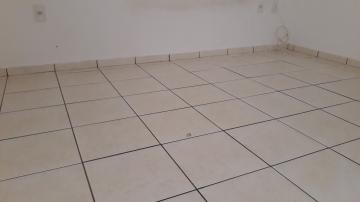 Alugar Apartamentos / Padrão em Sertãozinho R$ 750,00 - Foto 17 Alugar Apartamentos / Padrão em Sertãozinho R$ 750,00 - Foto 17