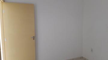 Alugar Apartamentos / Padrão em Sertãozinho R$ 750,00 - Foto 19 Alugar Apartamentos / Padrão em Sertãozinho R$ 750,00 - Foto 19