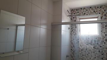 Alugar Apartamentos / Padrão em Sertãozinho R$ 750,00 - Foto 21 Alugar Apartamentos / Padrão em Sertãozinho R$ 750,00 - Foto 21
