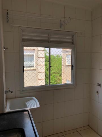 Alugar Apartamentos / Padrão em Sertãozinho R$ 600,00 - Foto 4 Alugar Apartamentos / Padrão em Sertãozinho R$ 600,00 - Foto 4