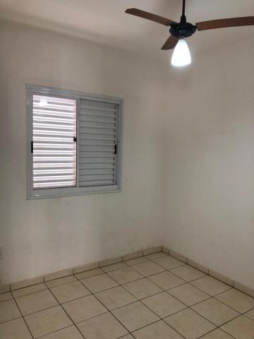 Alugar Apartamentos / Padrão em Sertãozinho R$ 600,00 - Foto 8 Alugar Apartamentos / Padrão em Sertãozinho R$ 600,00 - Foto 8
