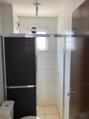 Alugar Apartamentos / Padrão em Sertãozinho R$ 600,00 - Foto 10 Alugar Apartamentos / Padrão em Sertãozinho R$ 600,00 - Foto 10