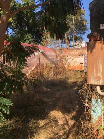 Alugar Terrenos / Área em Sertãozinho R$ 1.200,00 - Foto 5 Alugar Terrenos / Área em Sertãozinho R$ 1.200,00 - Foto 5