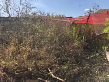 Alugar Terrenos / Área em Sertãozinho R$ 1.200,00 - Foto 6 Alugar Terrenos / Área em Sertãozinho R$ 1.200,00 - Foto 6