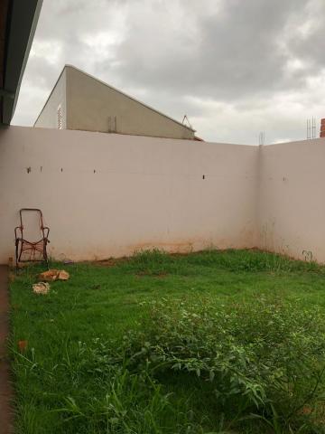 Alugar Casas / Padrão em Sertãozinho R$ 1.050,00 - Foto 14 Alugar Casas / Padrão em Sertãozinho R$ 1.050,00 - Foto 14