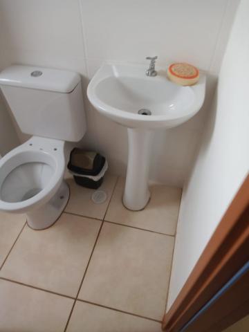 Apartamentos / Padrão em Sertãozinho Apartamentos / Padrão em Sertãozinho