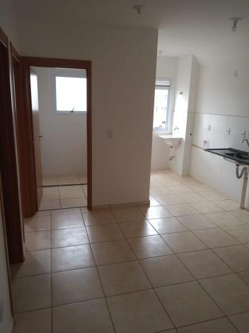 Apartamentos / Padrão em Sertãozinho Apartamentos / Padrão em Sertãozinho