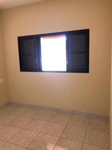 Alugar Casas / Padrão em Sertãozinho R$ 700,00 - Foto 11 Alugar Casas / Padrão em Sertãozinho R$ 700,00 - Foto 11