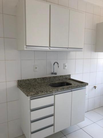 Alugar Apartamentos / Padrão em Sertãozinho R$ 1.200,00 - Foto 3 Alugar Apartamentos / Padrão em Sertãozinho R$ 1.200,00 - Foto 3