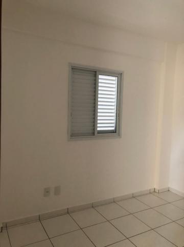 Alugar Apartamentos / Padrão em Sertãozinho R$ 1.200,00 - Foto 5 Alugar Apartamentos / Padrão em Sertãozinho R$ 1.200,00 - Foto 5