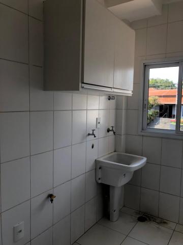 Alugar Apartamentos / Padrão em Sertãozinho R$ 1.200,00 - Foto 6 Alugar Apartamentos / Padrão em Sertãozinho R$ 1.200,00 - Foto 6