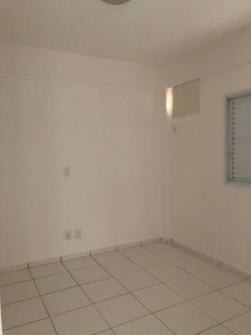 Alugar Apartamentos / Padrão em Sertãozinho R$ 1.200,00 - Foto 12 Alugar Apartamentos / Padrão em Sertãozinho R$ 1.200,00 - Foto 12