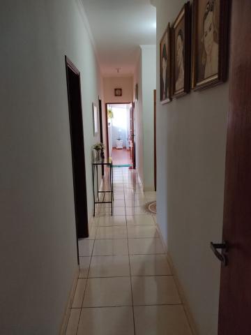 Comprar Casas / Padrão em Sertãozinho R$ 475.000,00 - Foto 8 Comprar Casas / Padrão em Sertãozinho R$ 475.000,00 - Foto 8
