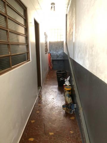 Alugar Casas / Padrão em Sertãozinho R$ 850,00 - Foto 3 Alugar Casas / Padrão em Sertãozinho R$ 850,00 - Foto 3