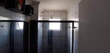 Alugar Apartamentos / Padrão em Sertãozinho R$ 675,00 - Foto 13 Alugar Apartamentos / Padrão em Sertãozinho R$ 675,00 - Foto 13