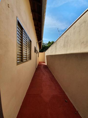 Alugar Casas / Padrão em Sertãozinho R$ 1.440,00 - Foto 4 Alugar Casas / Padrão em Sertãozinho R$ 1.440,00 - Foto 4