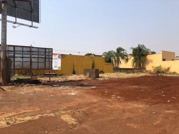 Alugar Comerciais / Ponto Comercial em Sertãozinho R$ 3.500,00 - Foto 4 Alugar Comerciais / Ponto Comercial em Sertãozinho R$ 3.500,00 - Foto 4