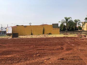 Alugar Comerciais / Ponto Comercial em Sertãozinho R$ 3.500,00 - Foto 5 Alugar Comerciais / Ponto Comercial em Sertãozinho R$ 3.500,00 - Foto 5