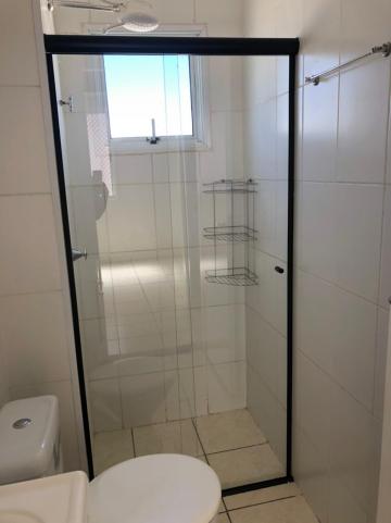 Apartamentos / Padrão em Sertãozinho Alugar por R$780,00 Apartamentos / Padrão em Sertãozinho Alugar por R$780,00