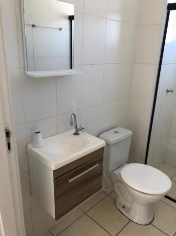 Alugar Apartamentos / Padrão em Sertãozinho R$ 780,00 - Foto 7 Alugar Apartamentos / Padrão em Sertãozinho R$ 780,00 - Foto 7