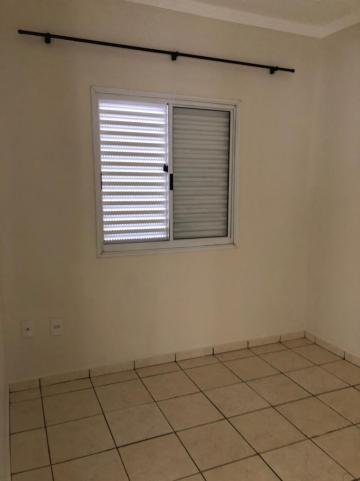 Alugar Apartamentos / Padrão em Sertãozinho R$ 780,00 - Foto 8 Alugar Apartamentos / Padrão em Sertãozinho R$ 780,00 - Foto 8