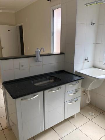 Alugar Apartamentos / Padrão em Sertãozinho R$ 780,00 - Foto 11 Alugar Apartamentos / Padrão em Sertãozinho R$ 780,00 - Foto 11