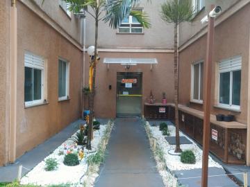 Apartamentos / Padrão em Sertãozinho Alugar por R$780,00 Apartamentos / Padrão em Sertãozinho Alugar por R$780,00