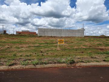 Comprar Terrenos / Padrão em Cruz das Posses R$ 77.000,00 - Foto 2 Comprar Terrenos / Padrão em Cruz das Posses R$ 77.000,00 - Foto 2