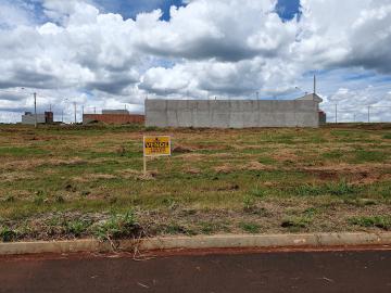 Comprar Terrenos / Padrão em Cruz das Posses R$ 77.000,00 - Foto 1 Comprar Terrenos / Padrão em Cruz das Posses R$ 77.000,00 - Foto 1