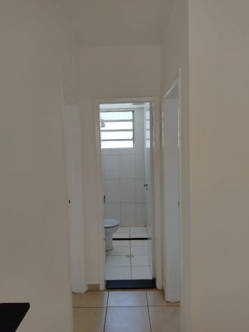 Alugar Apartamentos / Padrão em Sertãozinho R$ 550,00 - Foto 6 Alugar Apartamentos / Padrão em Sertãozinho R$ 550,00 - Foto 6