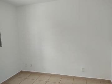 Alugar Apartamentos / Padrão em Sertãozinho R$ 550,00 - Foto 8 Alugar Apartamentos / Padrão em Sertãozinho R$ 550,00 - Foto 8