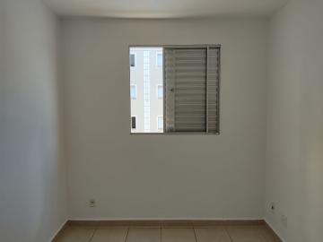 Alugar Apartamentos / Padrão em Sertãozinho R$ 550,00 - Foto 9 Alugar Apartamentos / Padrão em Sertãozinho R$ 550,00 - Foto 9
