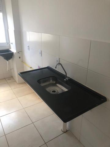 Alugar Apartamentos / Padrão em Sertãozinho R$ 550,00 - Foto 4 Alugar Apartamentos / Padrão em Sertãozinho R$ 550,00 - Foto 4