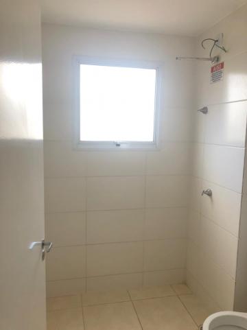 Alugar Apartamentos / Padrão em Sertãozinho R$ 550,00 - Foto 5 Alugar Apartamentos / Padrão em Sertãozinho R$ 550,00 - Foto 5