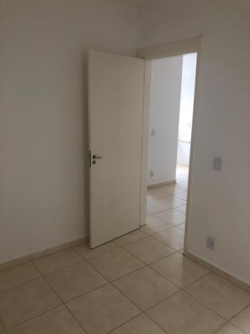Alugar Apartamentos / Padrão em Sertãozinho R$ 550,00 - Foto 7 Alugar Apartamentos / Padrão em Sertãozinho R$ 550,00 - Foto 7