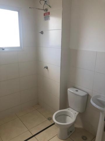 Alugar Apartamentos / Padrão em Sertãozinho R$ 550,00 - Foto 8 Alugar Apartamentos / Padrão em Sertãozinho R$ 550,00 - Foto 8