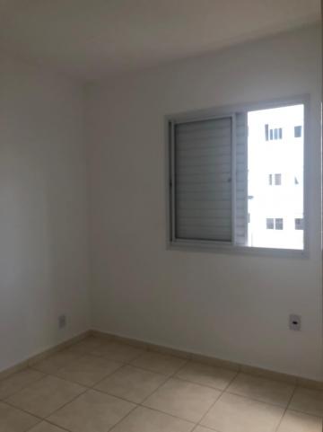Alugar Apartamentos / Padrão em Sertãozinho R$ 550,00 - Foto 10 Alugar Apartamentos / Padrão em Sertãozinho R$ 550,00 - Foto 10