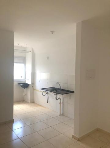 Alugar Apartamentos / Padrão em Sertãozinho R$ 550,00 - Foto 12 Alugar Apartamentos / Padrão em Sertãozinho R$ 550,00 - Foto 12