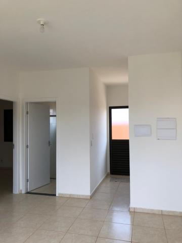 Alugar Casas / Padrão em Sertãozinho R$ 850,00 - Foto 3 Alugar Casas / Padrão em Sertãozinho R$ 850,00 - Foto 3