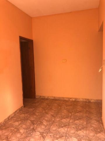 Alugar Casas / Padrão em Sertãozinho R$ 600,00 - Foto 5 Alugar Casas / Padrão em Sertãozinho R$ 600,00 - Foto 5