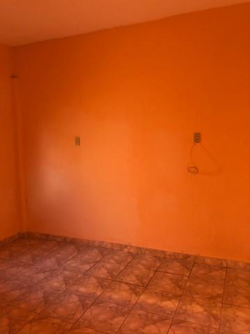 Alugar Casas / Padrão em Sertãozinho R$ 600,00 - Foto 7 Alugar Casas / Padrão em Sertãozinho R$ 600,00 - Foto 7