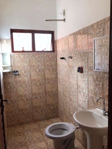 Alugar Casas / Padrão em Sertãozinho R$ 600,00 - Foto 9 Alugar Casas / Padrão em Sertãozinho R$ 600,00 - Foto 9