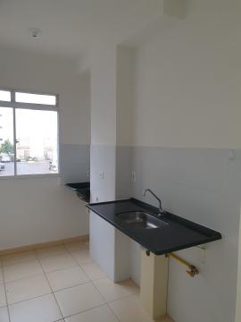 Alugar Apartamentos / Padrão em Sertãozinho R$ 850,00 - Foto 7 Alugar Apartamentos / Padrão em Sertãozinho R$ 850,00 - Foto 7