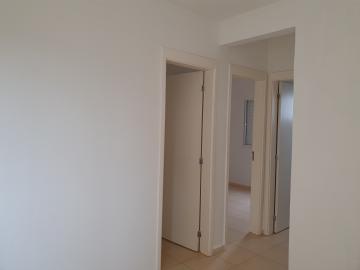 Apartamentos / Padrão em Sertãozinho Alugar por R$620,00 Apartamentos / Padrão em Sertãozinho Alugar por R$620,00