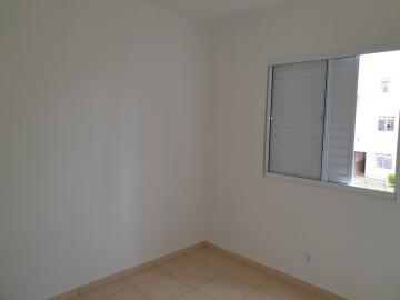 Alugar Apartamentos / Padrão em Sertãozinho R$ 850,00 - Foto 6 Alugar Apartamentos / Padrão em Sertãozinho R$ 850,00 - Foto 6