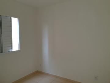 Apartamentos / Padrão em Sertãozinho Alugar por R$620,00 Apartamentos / Padrão em Sertãozinho Alugar por R$620,00
