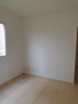 Apartamentos / Padrão em Sertãozinho Alugar por R$620,00 Apartamentos / Padrão em Sertãozinho Alugar por R$620,00